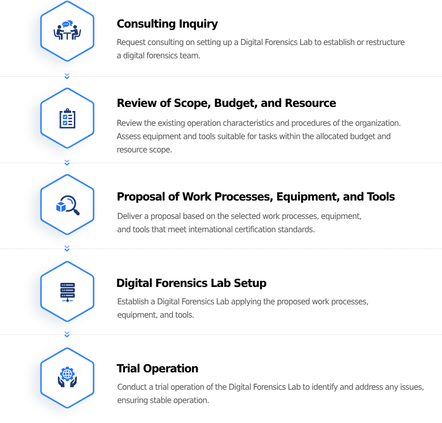 Consulting Process